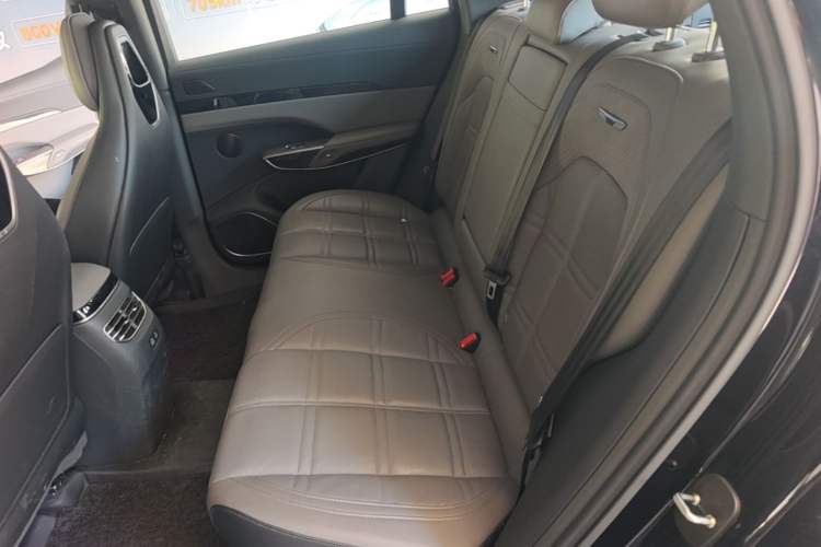 Used Hongqi Tiangong 08  Left Rear Seat