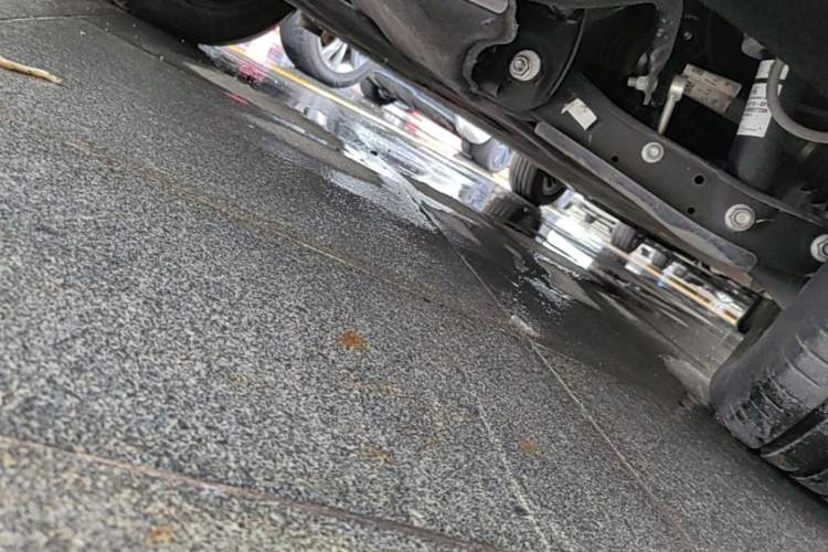 Used Hongqi Tiangong 08  Chassis Rear Right