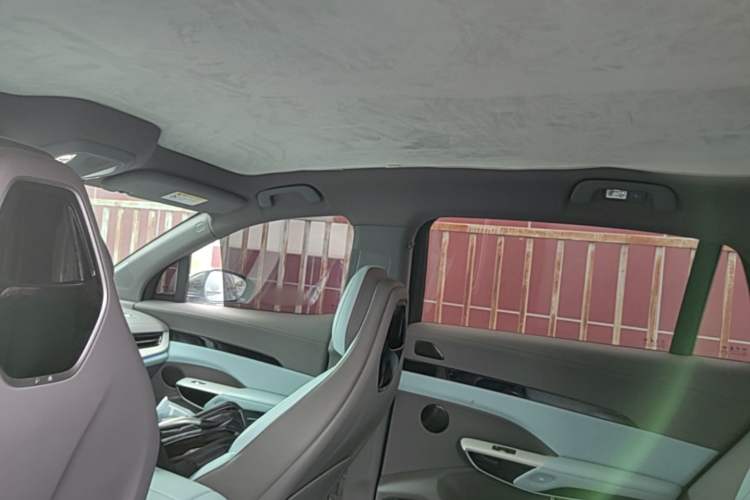 Used Hongqi Tiangong 08  Headliner