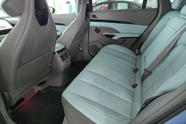 Used Hongqi Tiangong 08  Left Rear Seat