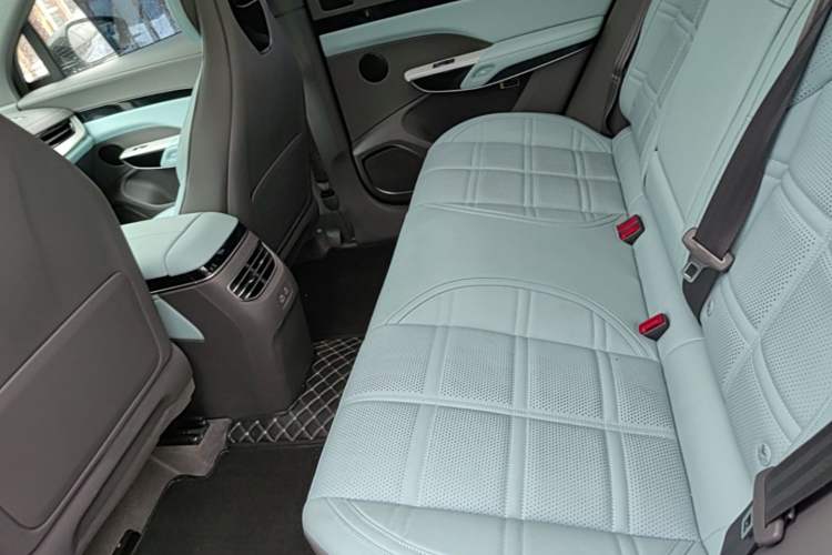 Used Hongqi Tiangong 08  Left Rear Seat