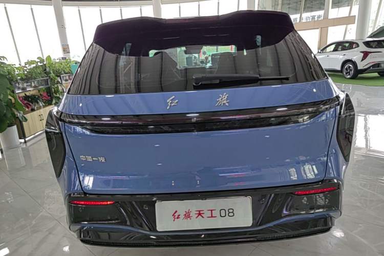 Used Hongqi Tiangong 08  Rear
