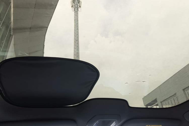 Used Hongqi Tiangong 08  Headliner