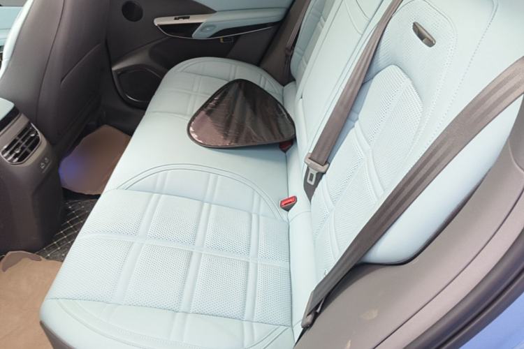 Used Hongqi Tiangong 08  Left Rear Seat