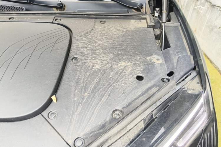 Used Hongqi Tiangong 08 2025 730 Max Rear-Drive Version Engine Bay Left