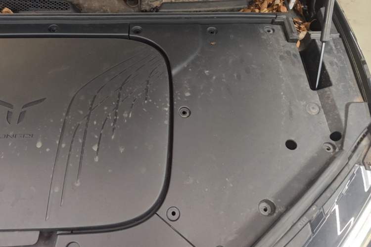Used Hongqi Tiangong 08 2025 680 Ultra Four-Wheel-Drive Version Engine Bay Left