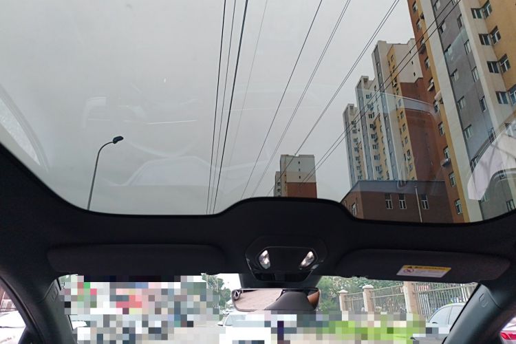 Used Hongqi Tiangong 08 2025 730 Max Rear-Drive Version Headliner