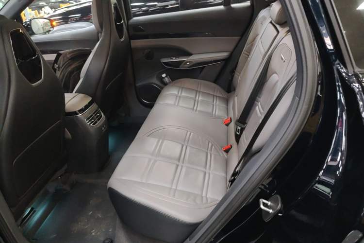 Used Hongqi Tiangong 08 2025 680 All-Wheel Drive Smart Selection Edition Left Rear Seat
