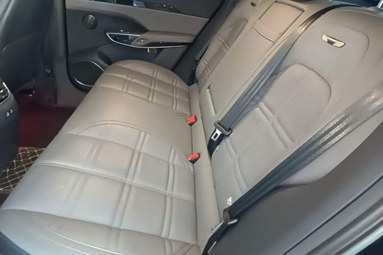 Used Hongqi Tiangong 08 2025 680 Ultra Four-Wheel-Drive Version Left Rear Seat