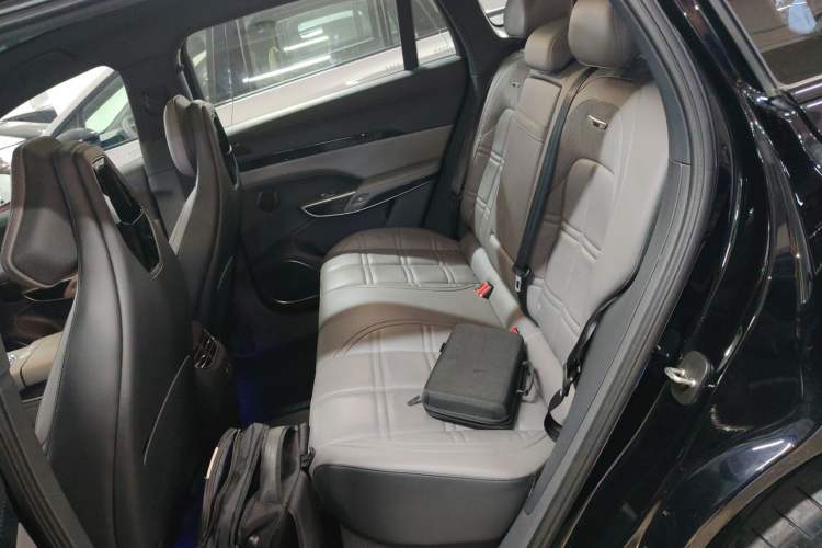 Used Hongqi Tiangong 08 2025 680 Ultra Four-Wheel-Drive Version Left Rear Seat
