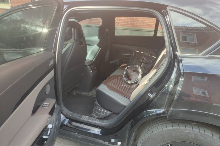 Used Hongqi Tiangong 08 2025 730 Max Rear-Drive Version Left Rear Seat