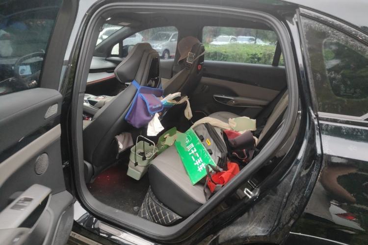 Used Hongqi Tiangong 08 2025 730 Max Rear-Drive Version Left Rear Seat