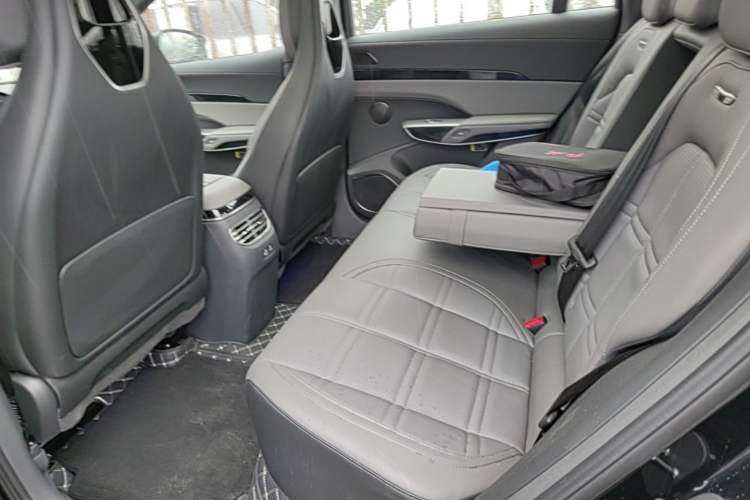 Used Hongqi Tiangong 08 2025 730 Max Rear-Drive Version Left Rear Seat