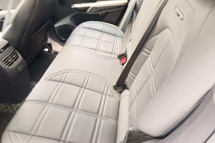 Used Hongqi Tiangong 08 2025 730 Max Rear-Drive Version Left Rear Seat