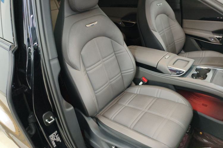 Used Hongqi Tiangong 08 2025 605 Max Rear-Drive Version Right Front Seat