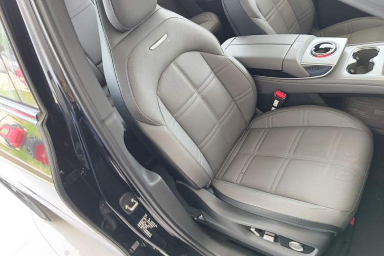 Used Hongqi Tiangong 08 2025 730 Max Rear-Drive Version Right Front Seat