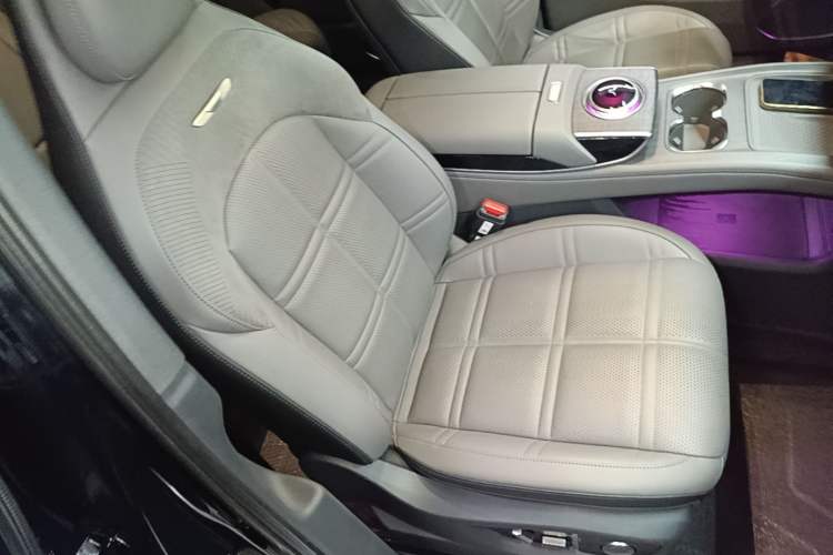 Used Hongqi Tiangong 08 2025 680 Ultra Four-Wheel-Drive Version Right Front Seat