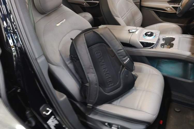 Used Hongqi Tiangong 08 2025 680 All-Wheel Drive Smart Selection Edition Right Front Seat