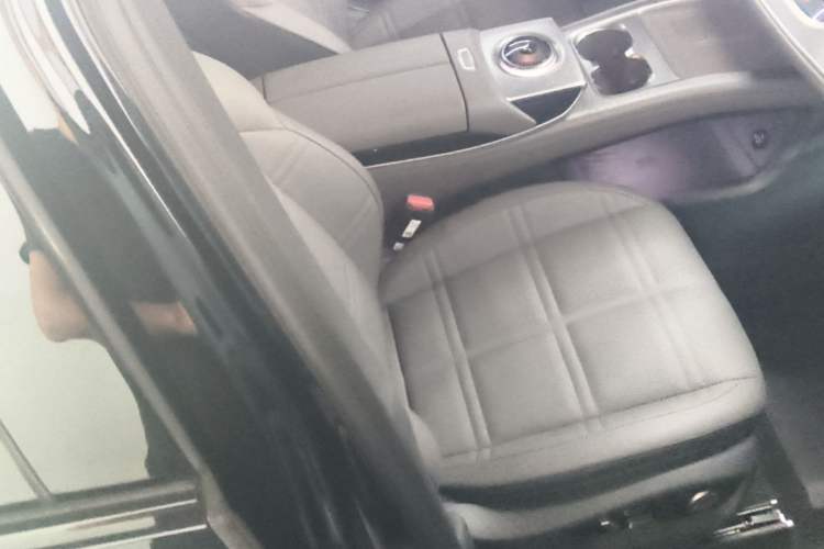 Used Hongqi Tiangong 08 2025 730 Max Rear-Drive Version Right Front Seat