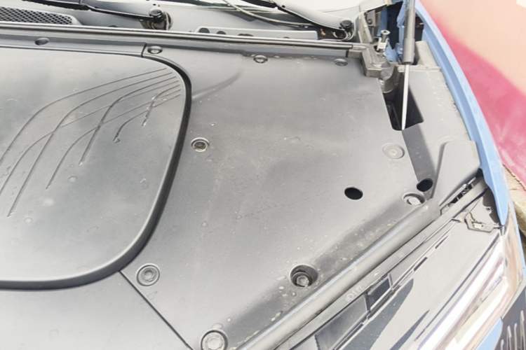 Used Hongqi Tiangong 08  Engine Bay Left
