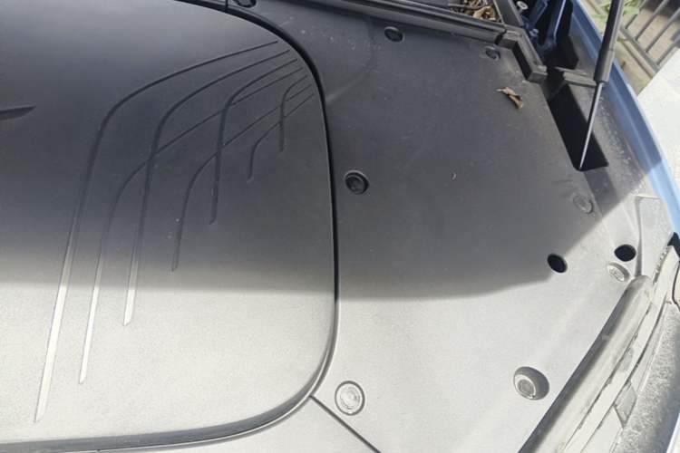 Used Hongqi Tiangong 08 2025 730 Max Rear-Drive Version Engine Bay Left