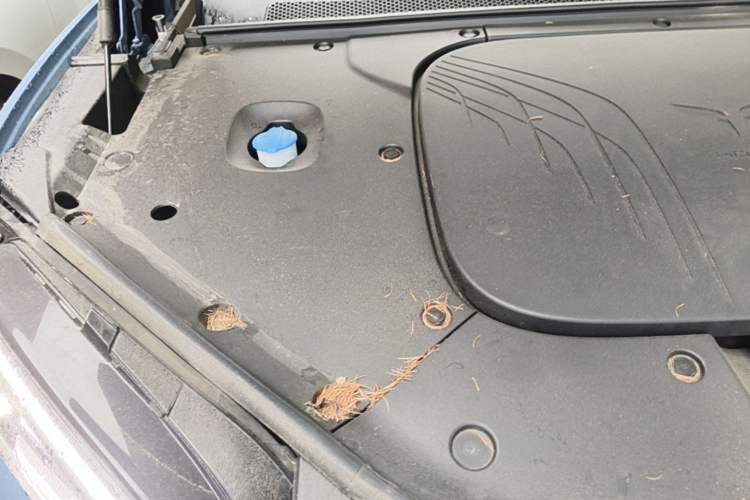 Used Hongqi Tiangong 08  Engine Bay Right