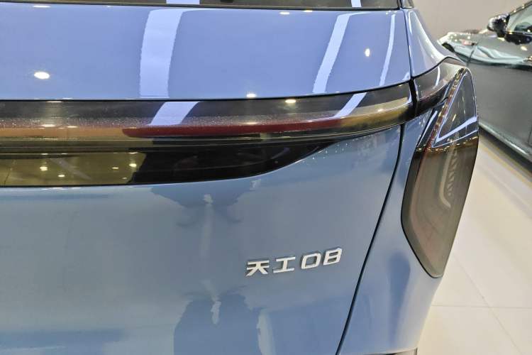 Used Hongqi Tiangong 08 2025 Model 110kWh Custom Edition Exterior 6