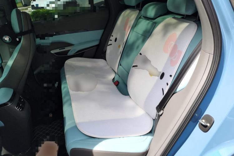 Used Hongqi Tiangong 08 2025 730 Max Rear-Drive Version Left Rear Seat