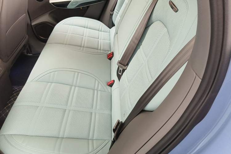 Used Hongqi Tiangong 08  Left Rear Seat
