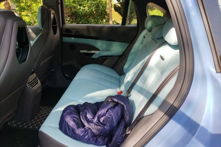 Used Hongqi Tiangong 08 2025 730 Max Rear-Drive Version Left Rear Seat