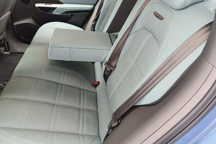 Used Hongqi Tiangong 08 2025 730 Max Rear-Drive Version Left Rear Seat