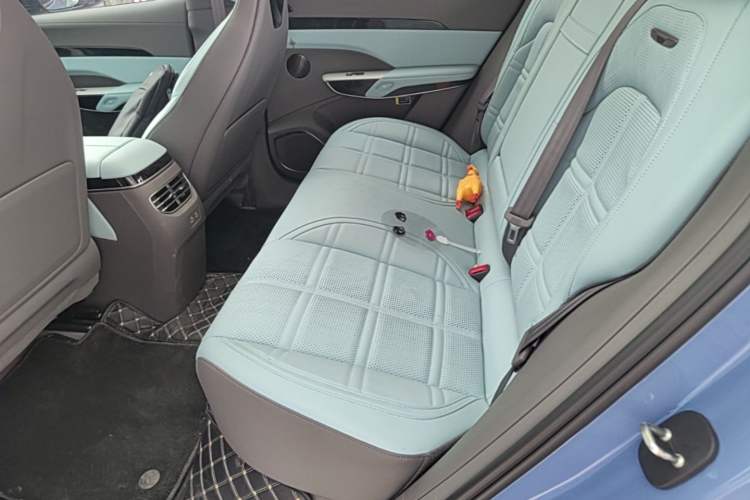 Used Hongqi Tiangong 08 2025 730 Max Rear-Drive Version Left Rear Seat