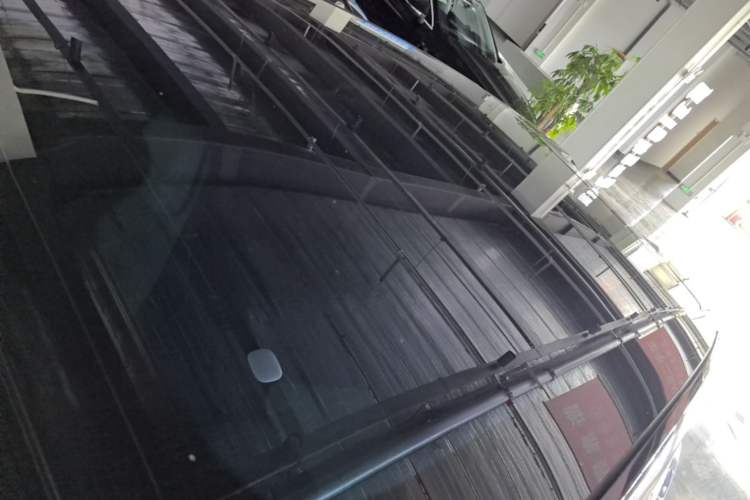Used Hongqi Tiangong 08 2025 730 Max Rear-Drive Version Roof