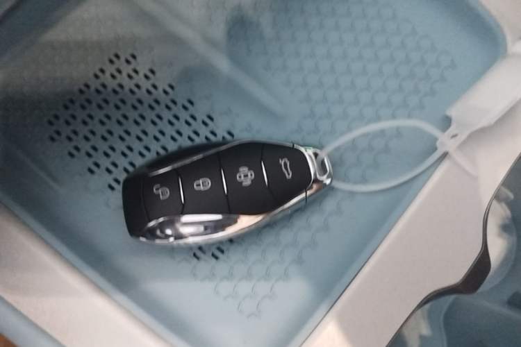 Used Hongqi Tiangong 08 2025 605 Pioneer Edition Vehicle Key