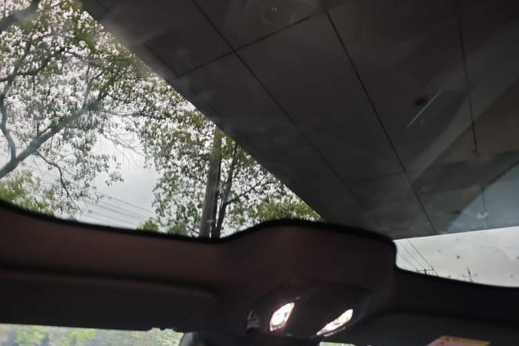 Used Hongqi Tiangong 08 2025 680 Ultra Four-Wheel-Drive Version Headliner