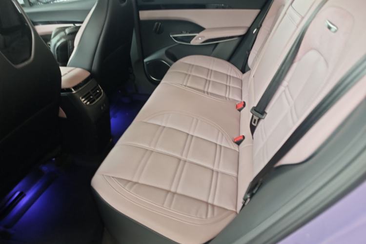 Used Hongqi Tiangong 08 2025 680 Ultra Four-Wheel-Drive Version Left Rear Seat