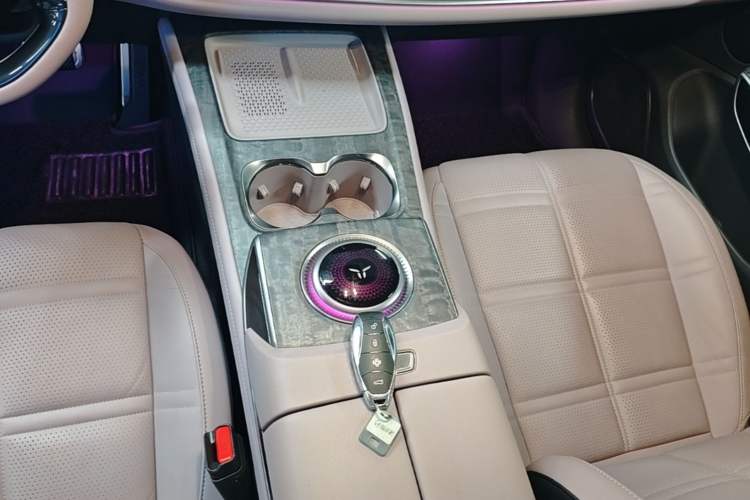 Used Hongqi Tiangong 08 2025 680 Ultra Four-Wheel-Drive Version Gear Lever