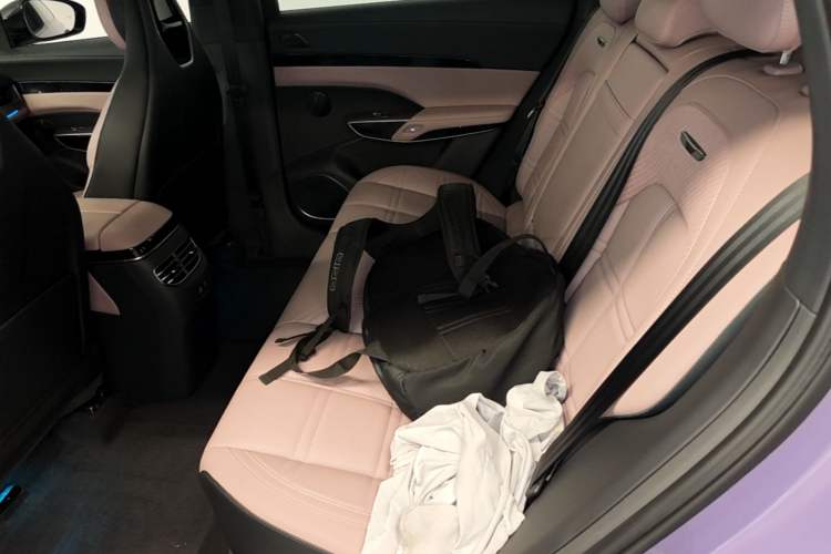 Used Hongqi Tiangong 08 2025 680 Ultra Four-Wheel-Drive Version Left Rear Seat