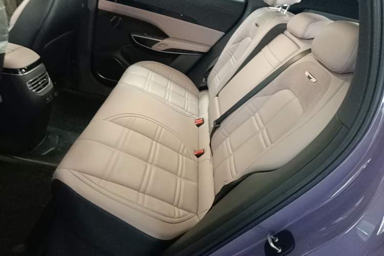 Used Hongqi Tiangong 08 2025 680 Ultra Four-Wheel-Drive Version Left Rear Seat