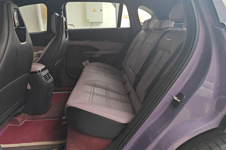 Used Hongqi Tiangong 08 2025 680 Ultra Four-Wheel-Drive Version Left Rear Seat