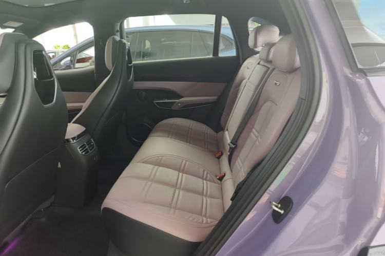Used Hongqi Tiangong 08 2025 680 Ultra Four-Wheel-Drive Version Left Rear Seat