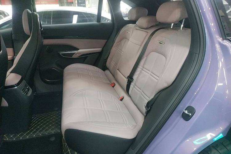 Used Hongqi Tiangong 08 2025 680 Ultra Four-Wheel-Drive Version Left Rear Seat