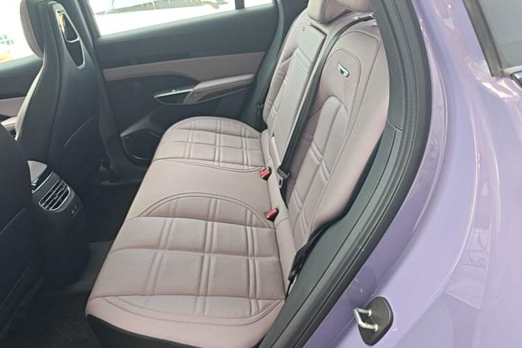 Used Hongqi Tiangong 08 2025 680 Ultra Four-Wheel-Drive Version Left Rear Seat