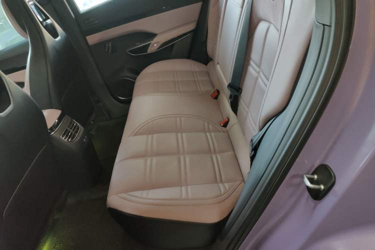 Used Hongqi Tiangong 08 2025 680 Ultra Four-Wheel-Drive Version Left Rear Seat
