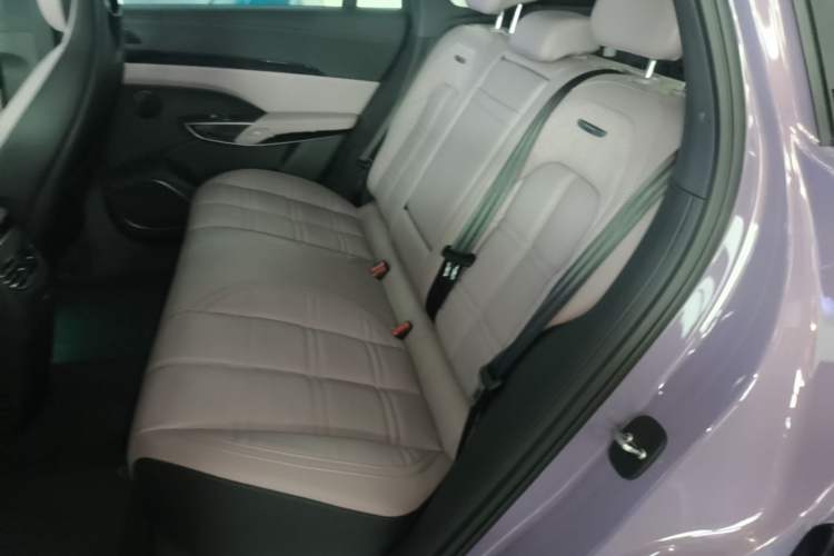Used Hongqi Tiangong 08 2025 680 Ultra Four-Wheel-Drive Version Left Rear Seat