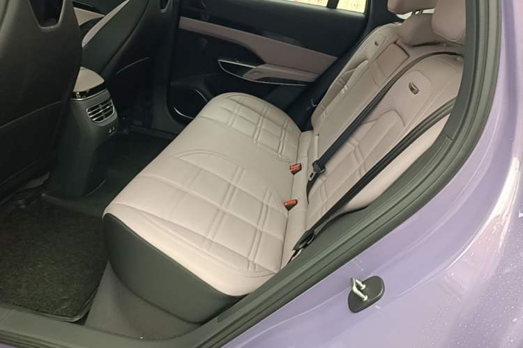Used Hongqi Tiangong 08 2025 680 Ultra Four-Wheel-Drive Version Left Rear Seat