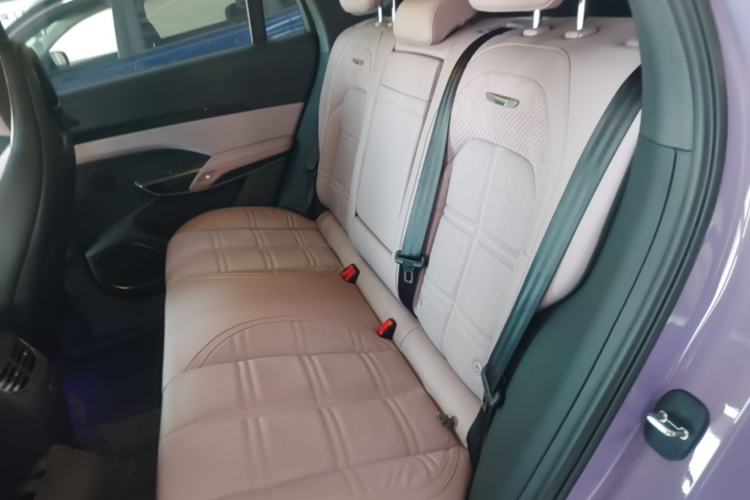 Used Hongqi Tiangong 08 2025 680 Ultra Four-Wheel-Drive Version Left Rear Seat