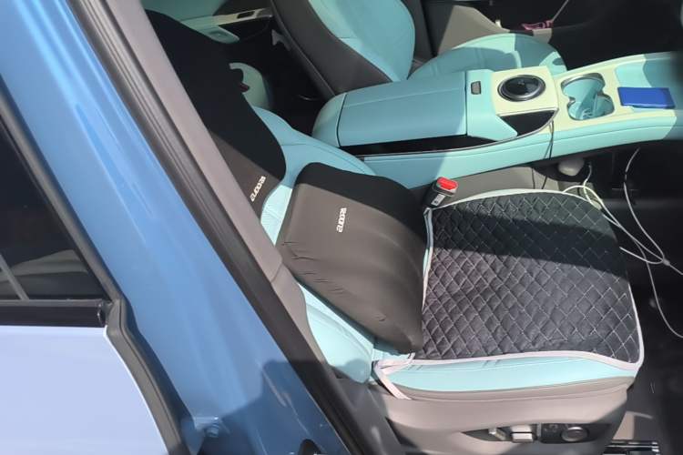 Used Hongqi Tiangong 08 2025 730 Max Rear-Drive Version Right Front Seat