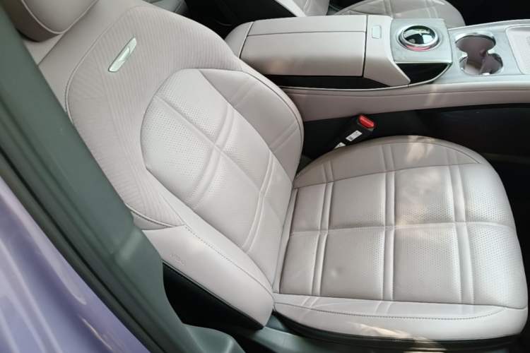 Used Hongqi Tiangong 08 2025 730 Max Rear-Drive Version Right Front Seat