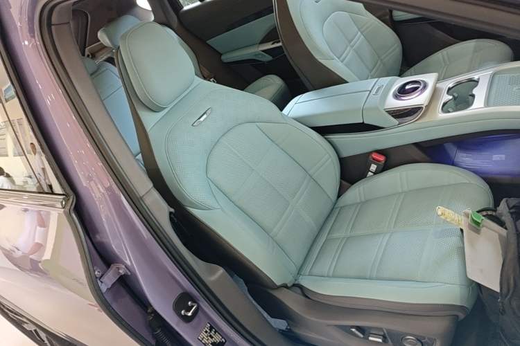 Used Hongqi Tiangong 08 2025 730 Max Rear-Drive Version Right Front Seat
